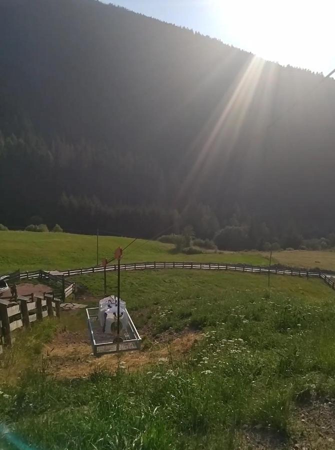 فيلا Baita Del Nonno Dei Pitoi Bedollo المظهر الخارجي الصورة